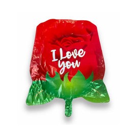 Globos de Amor A21